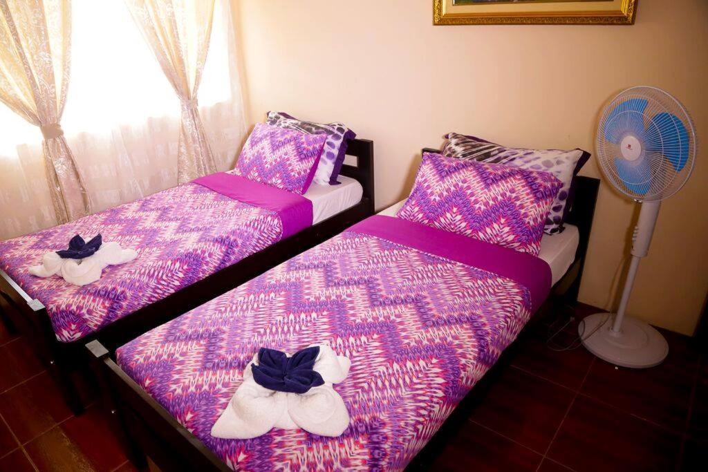 Florabells Iraya Guest House - Batanes Basco Εξωτερικό φωτογραφία