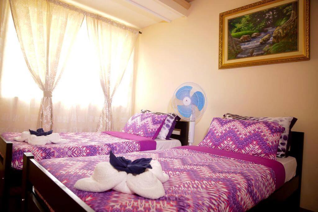 Florabells Iraya Guest House - Batanes Basco Εξωτερικό φωτογραφία